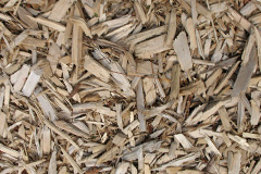 biomass boilers Whitstone